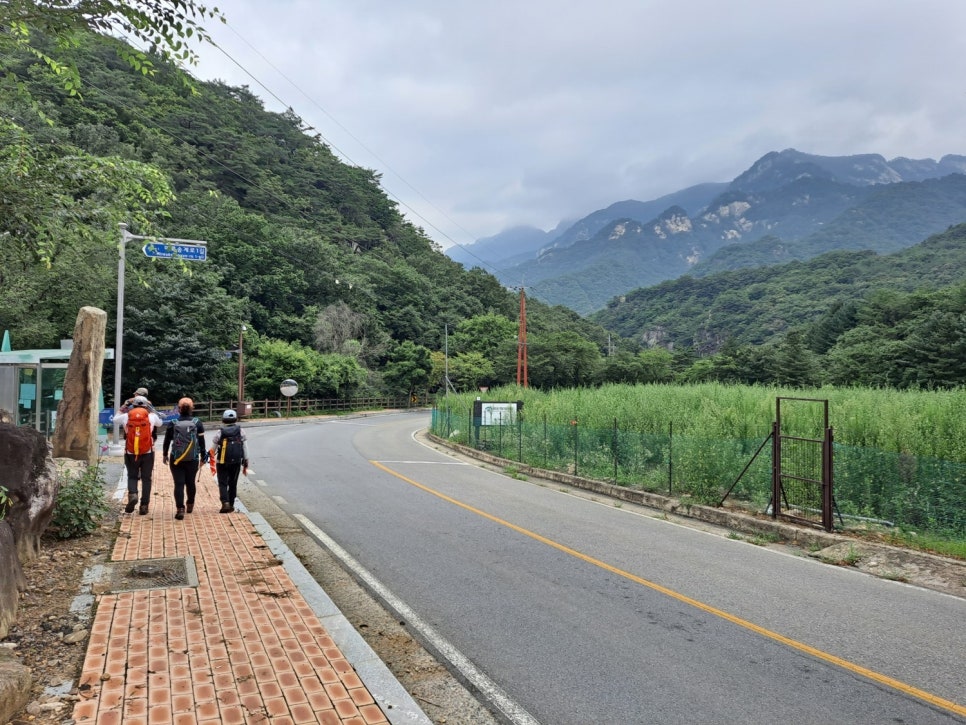 말뫼산 사진 5