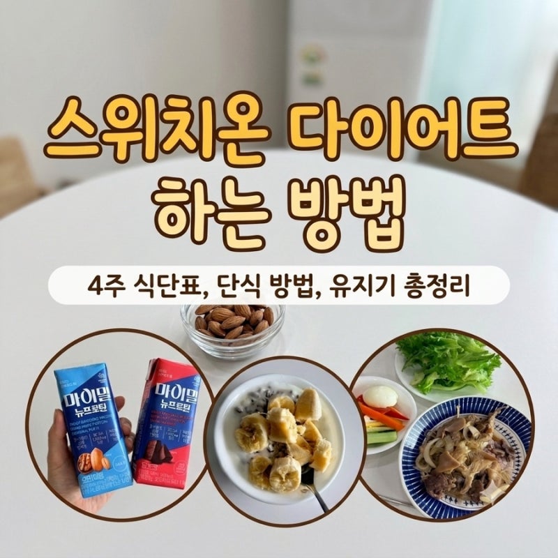 스위치온 다이어트 하는 방법｜4주 식단표, 단식 방법, 유지기 총정리