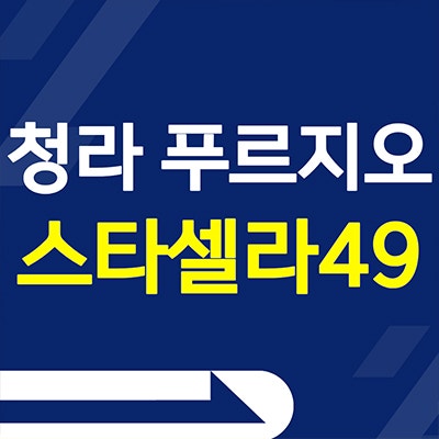 청라 푸르지오 스타셀라49 오피스텔 청라동 대우 3룸 아파텔 분양가