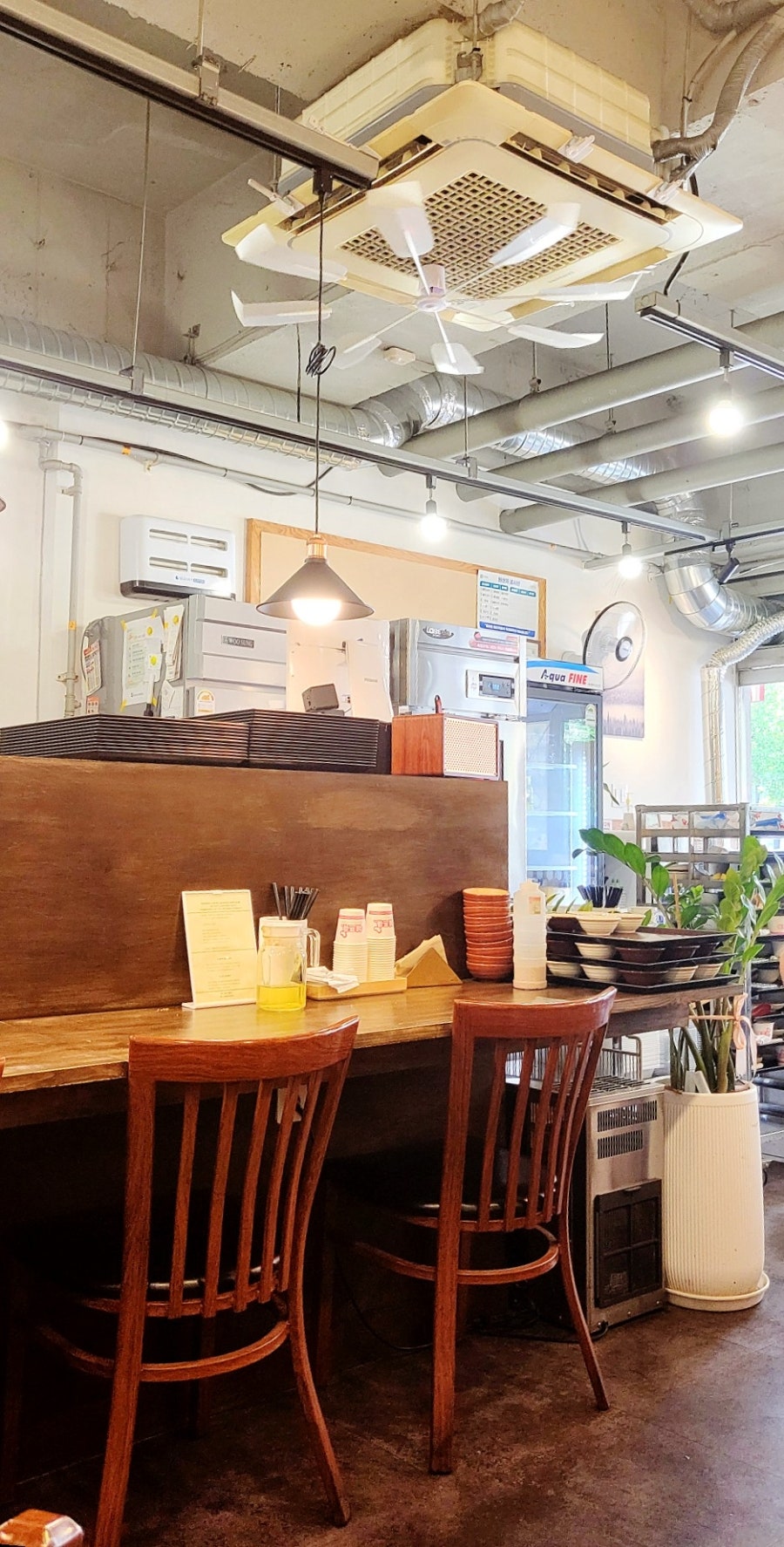 톤타 사진 3