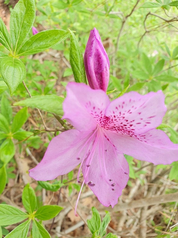 견두산 사진 6
