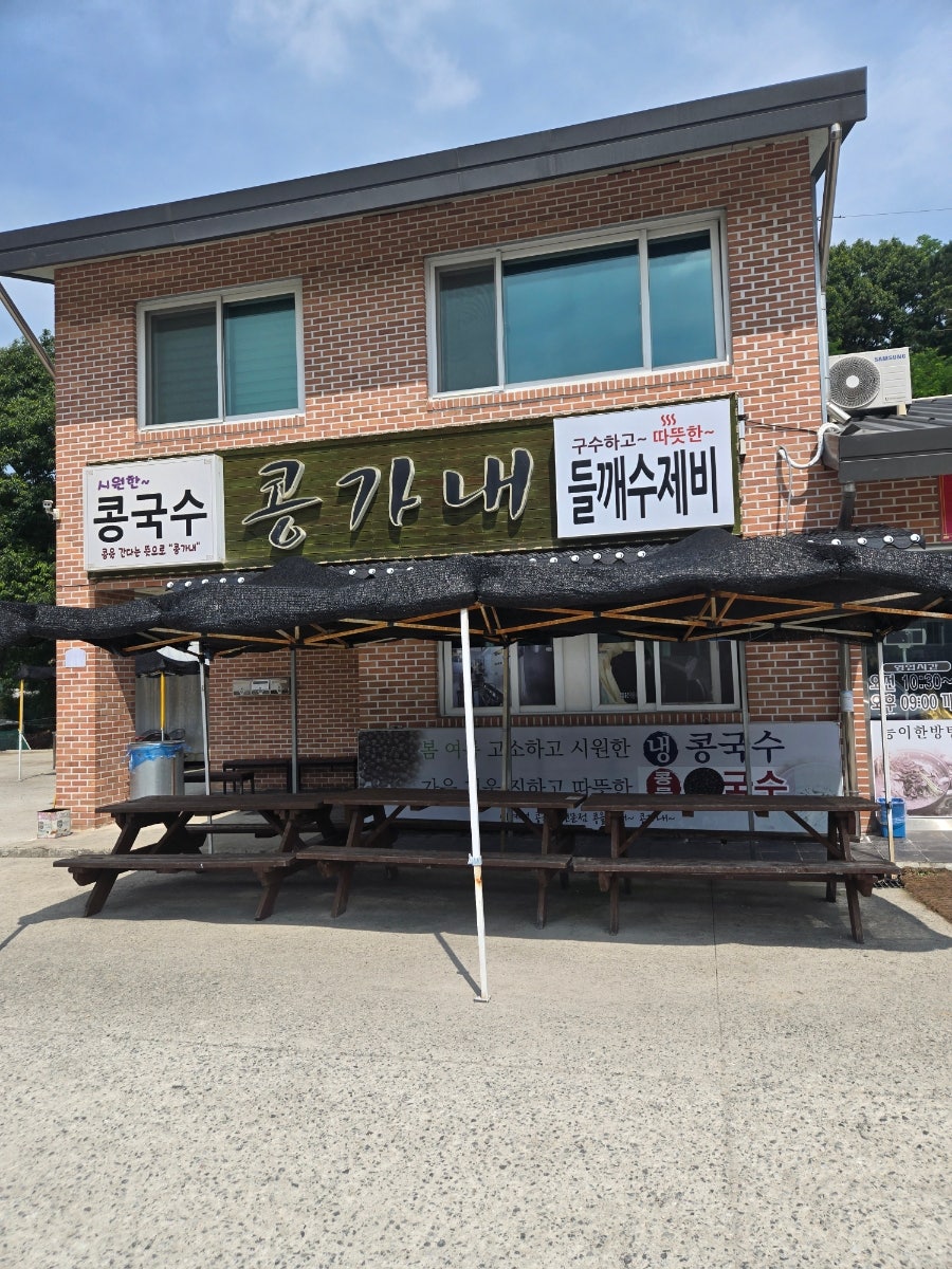 콩가내 사진 1