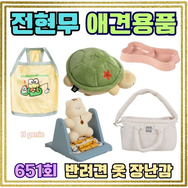 나혼자산다 전현무 강아지 순무 옷 거북이 장난감 노즈워크 식기 이동가방 정보 총정리 브랜....