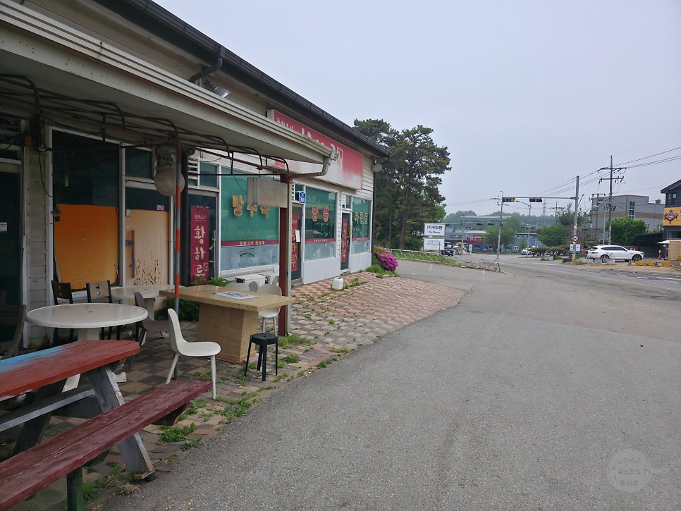 황하루 사진 3