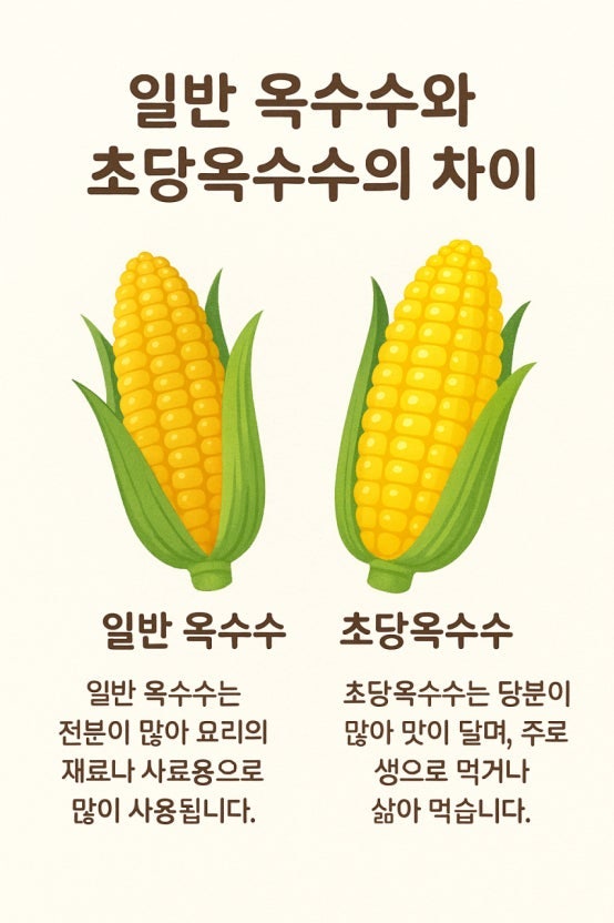 [초당옥수수 맛있게 먹는 방법 심화편] 전자레인지 시간부터 오븐 에어프라이어 레시피, 냉....