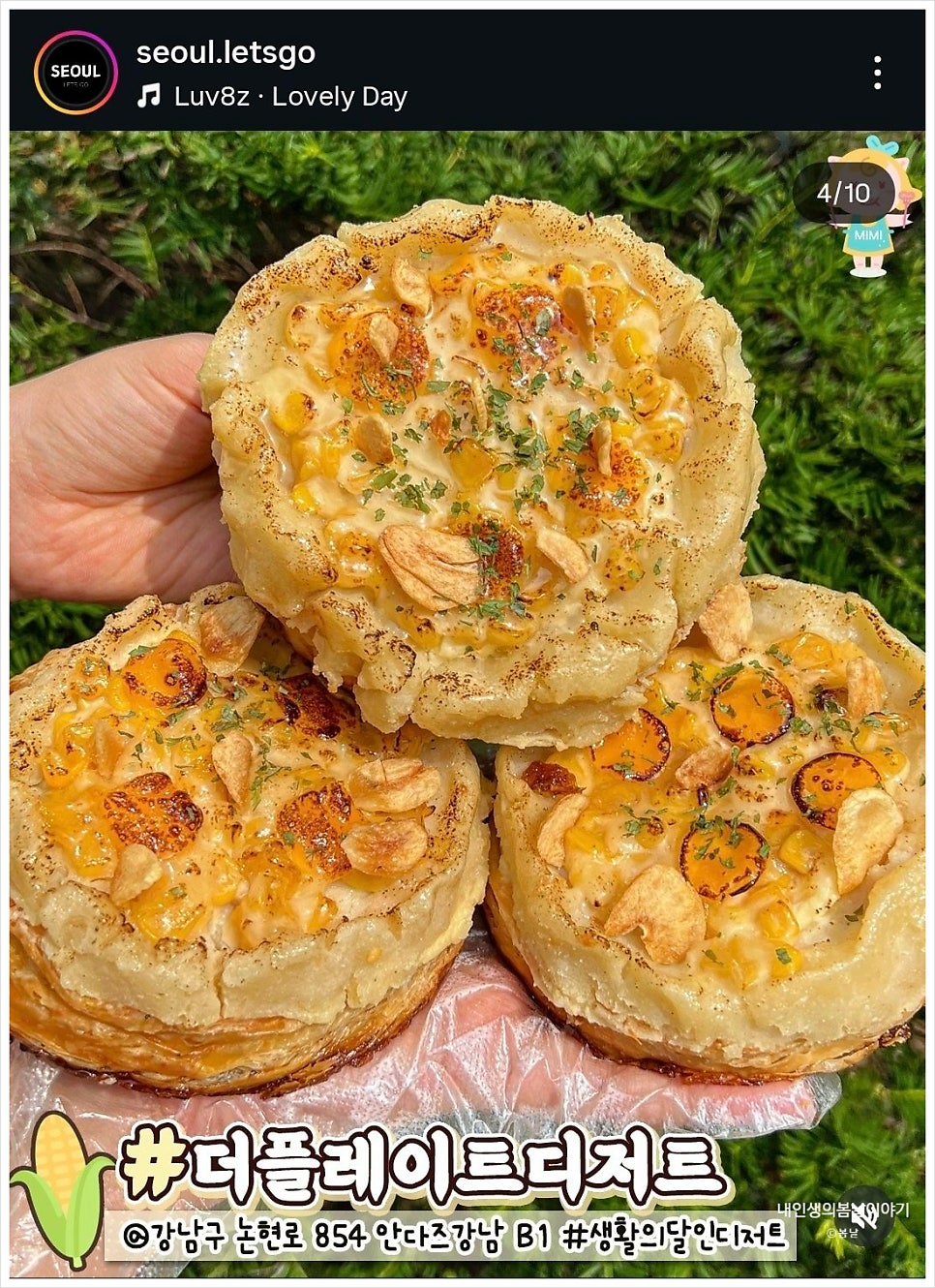 네시사분 사진 4