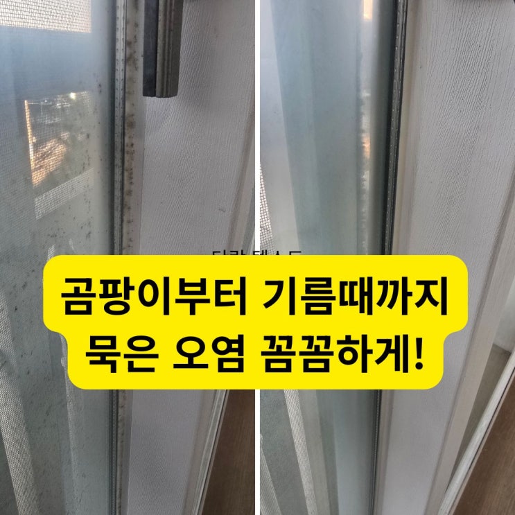  진해부영1차 이사청소 곰팡이부터 기름때까지 묵은 오염 꼼꼼하게