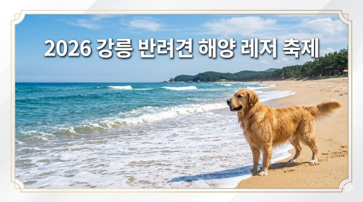  2026 강릉 반려견 해양 레저 축제 일정, 안목해변 무료 체험 총정리
