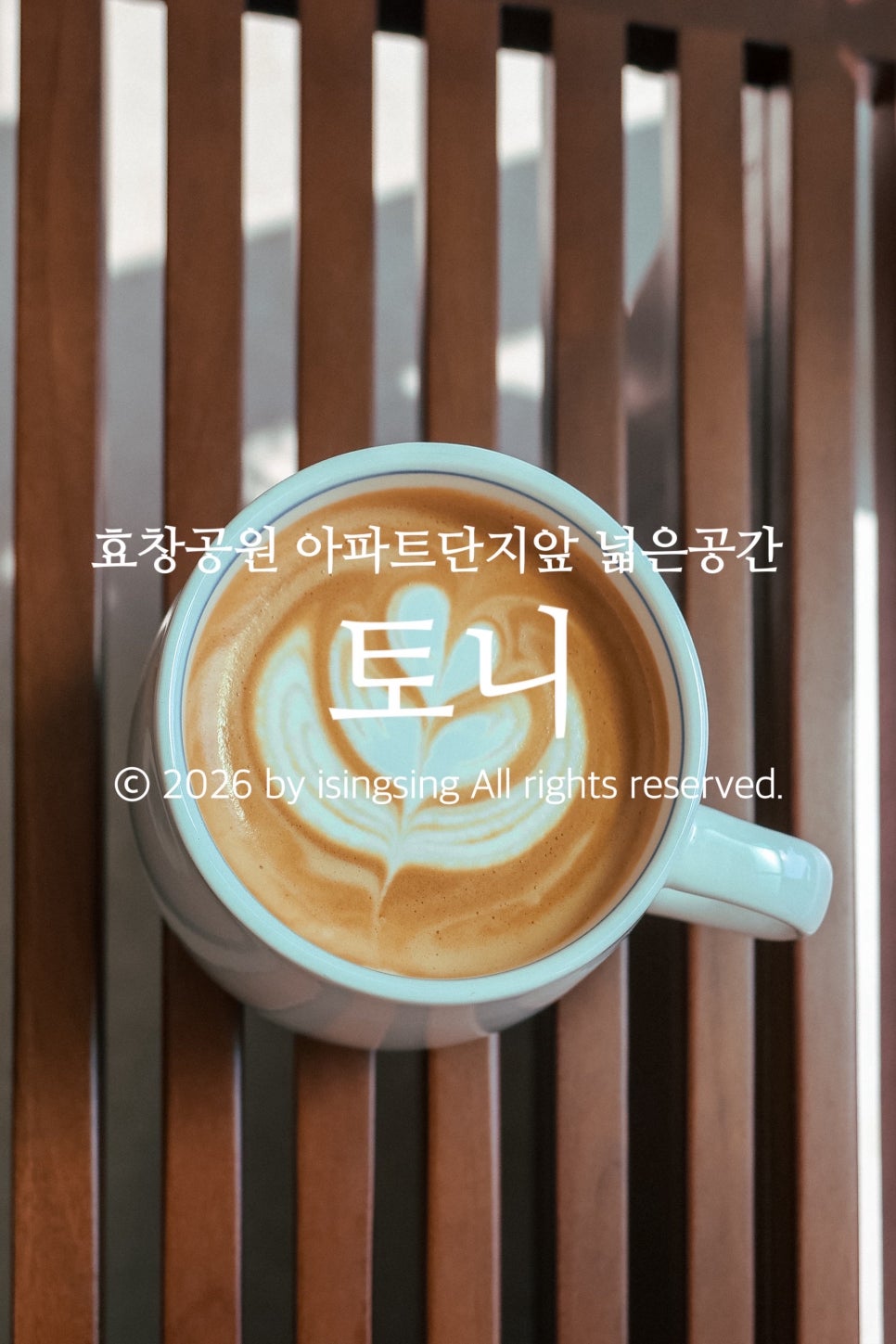 카피타노네모 사진 1
