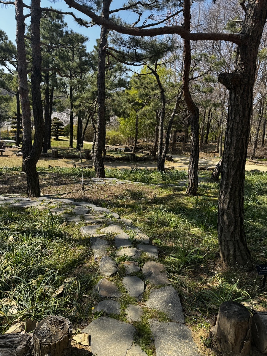 싸리골우렁쌈밥 본점 사진 5