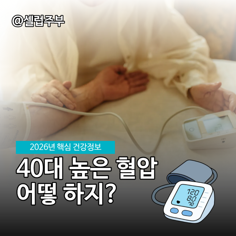 40대 고혈압에좋은영양제 높은 혈압 코큐텐효능 섭취 타이밍