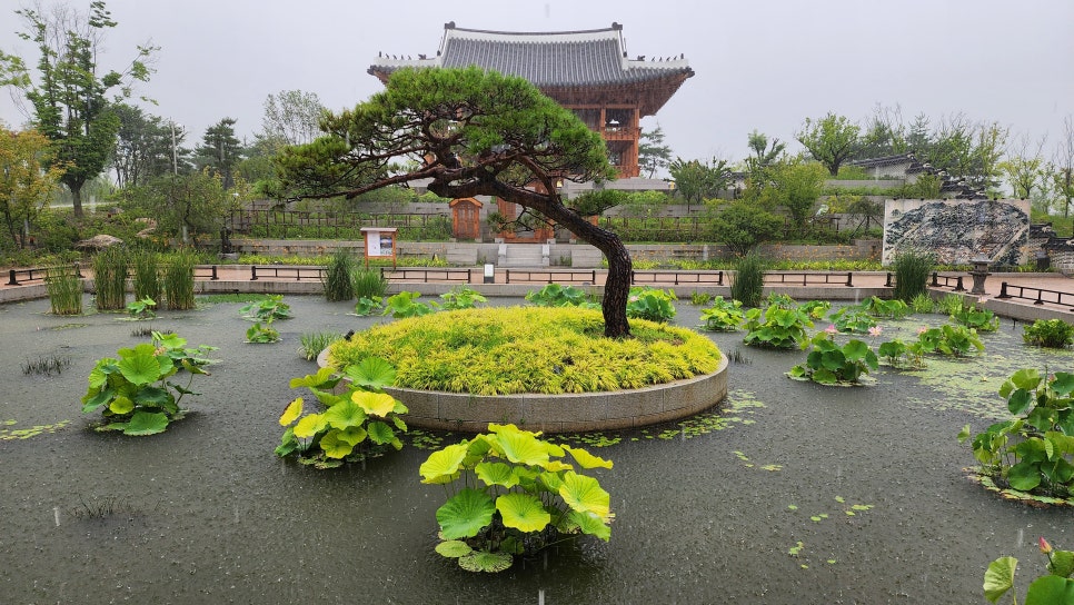 화담 사진 5