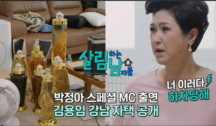 살림하는 남자들 쥬얼리 박정아 특별출연 김용임 강남 자택 공개 속....