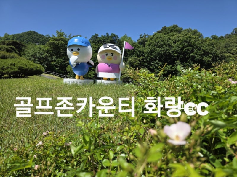 [골프] 26년도 19번째 라운딩. 골프존 카운티 화랑 cc. 근처 찐 맛집