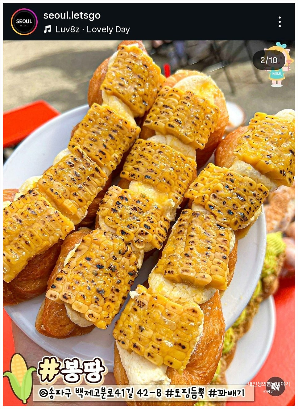네시사분 사진 2