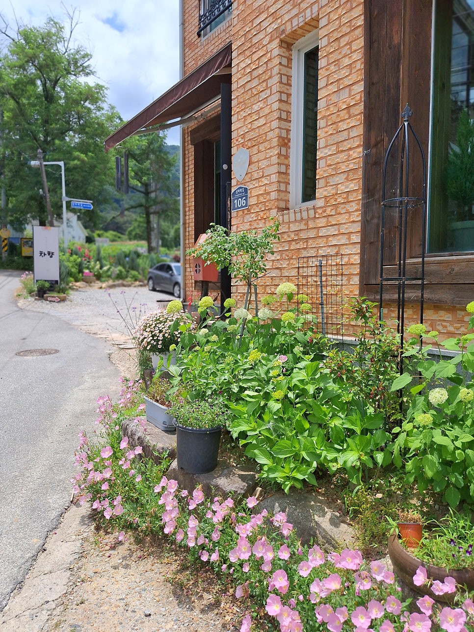 차향 사진 1