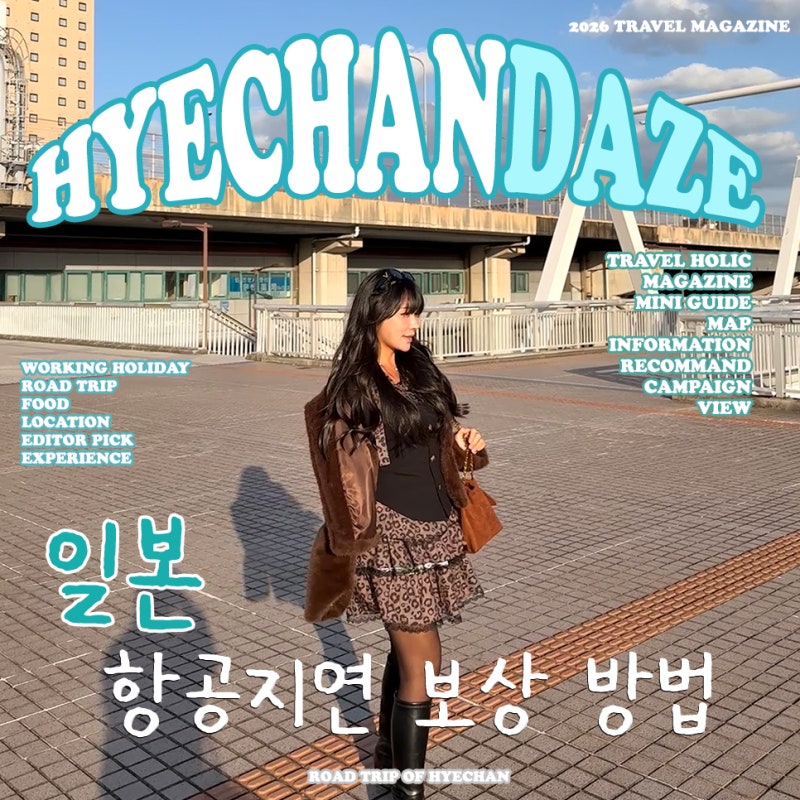 항공기 지연 결항 보상 에어서울 보상받는 방법 정리했어요