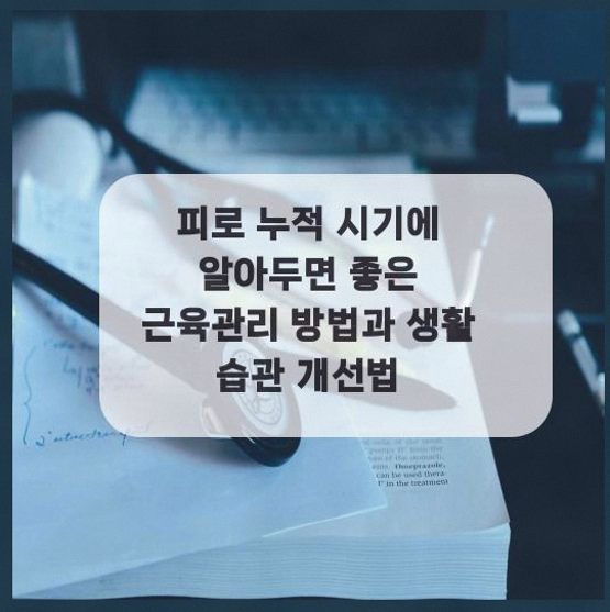  피로 누적 시기에 알아두면 좋은 근육관리 방법과 생활 습관 개선법