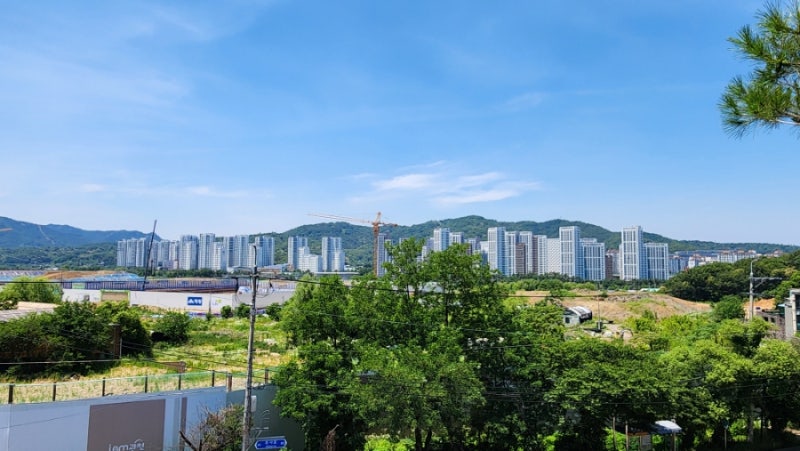 과천 주암지구 임장｜입지·교통·개발호재 총정리, 미래가치는?