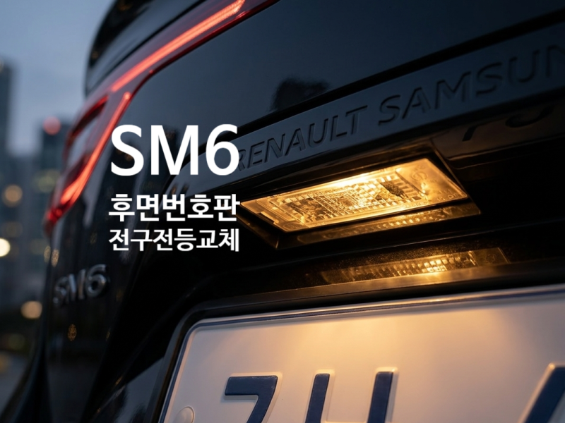 sm6 번호판등 교체방법 뒷번호판 뒷번호판등 후미 후면 후미번호판 후면번호판 전구 종류 t10 ....