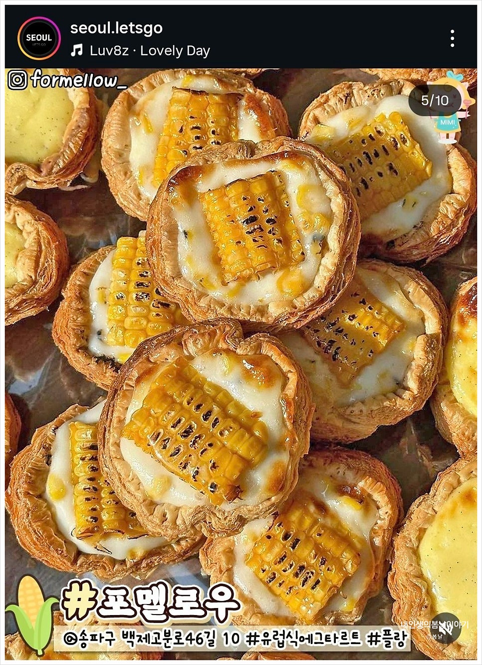 네시사분 사진 5