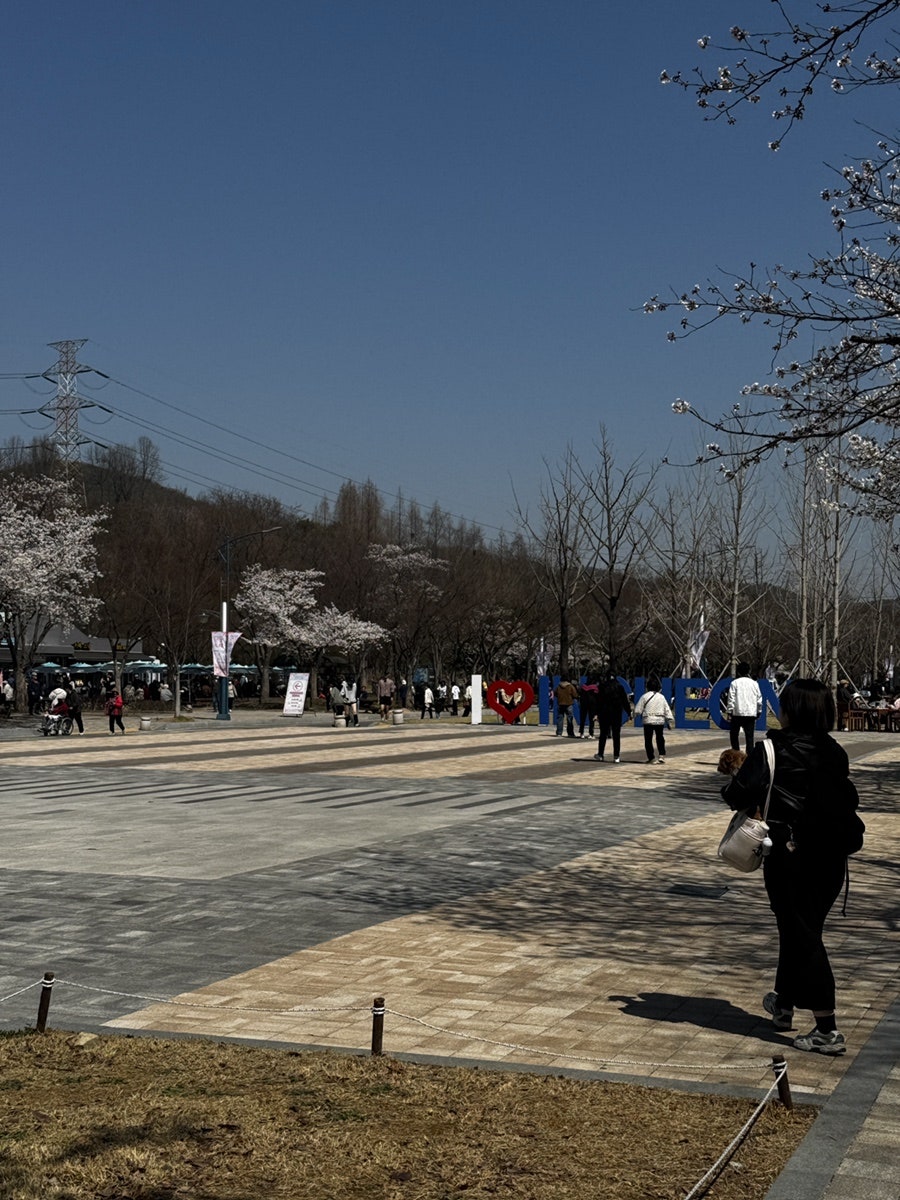 싸리골우렁쌈밥 본점 사진 2