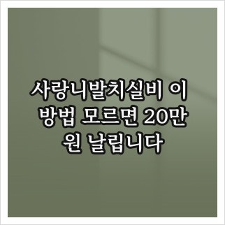 사랑니발치실비 이 방법 모르면 20만원 날립니다