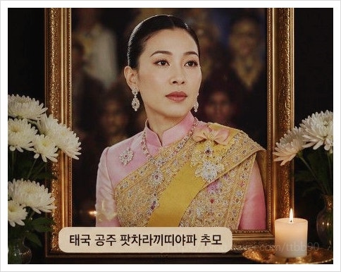  정일우가 태국 공주 사망 소식에 직접 애도 표한 이유