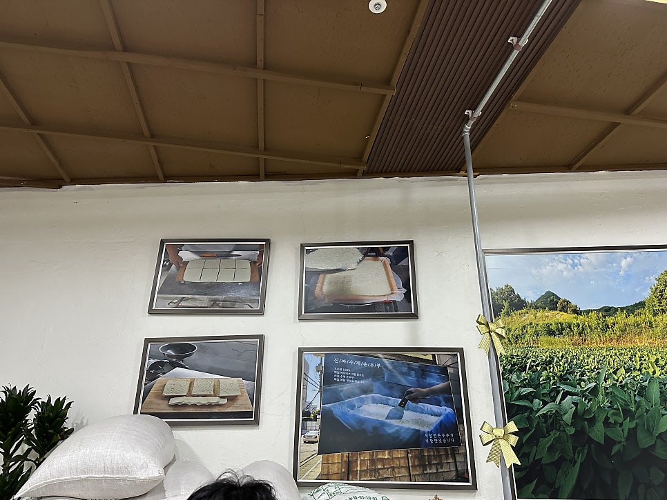 콩서리 사진 4