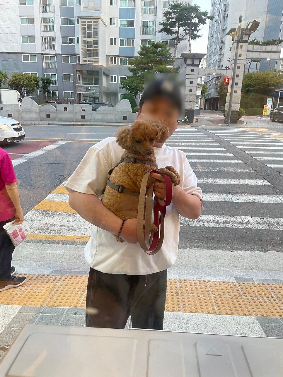 동대문엽기떡볶이 파주교하점 사진 3