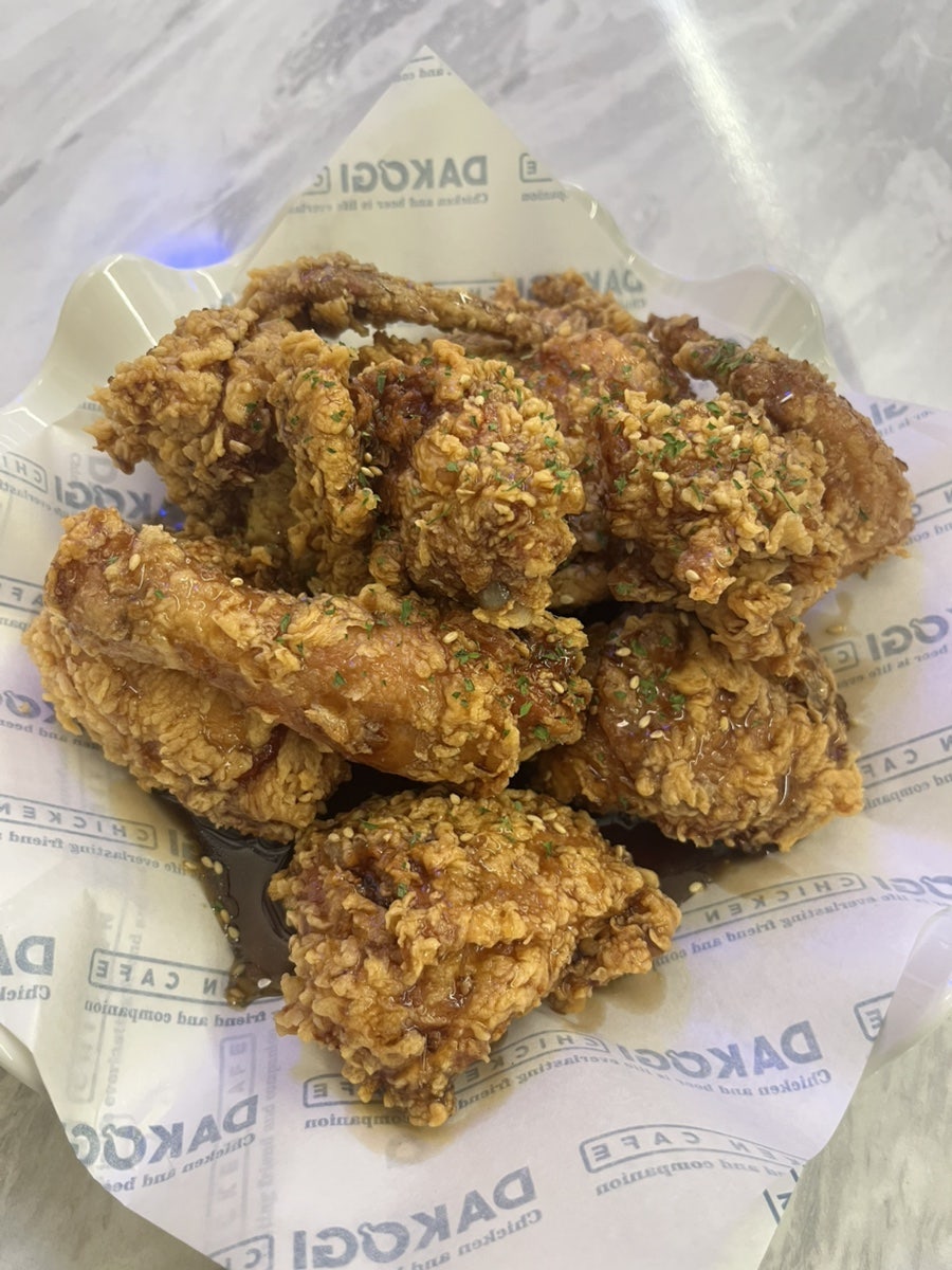 다코기 구일점 사진 6