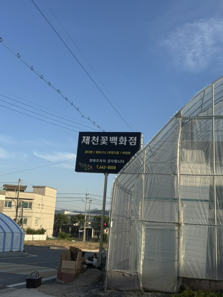 제천꽃백화점 사진 2
