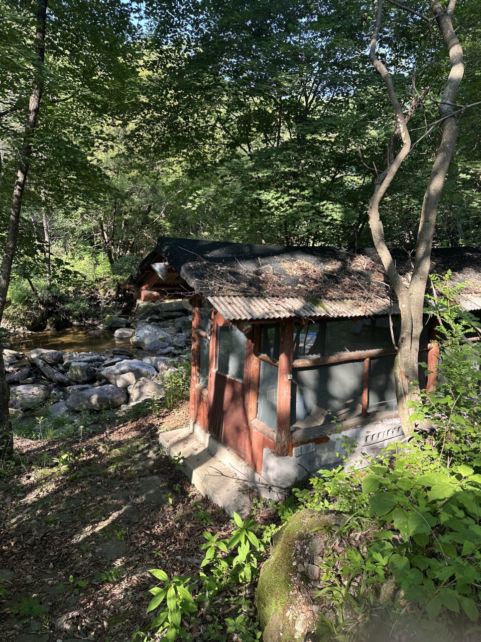대성산 사진 6