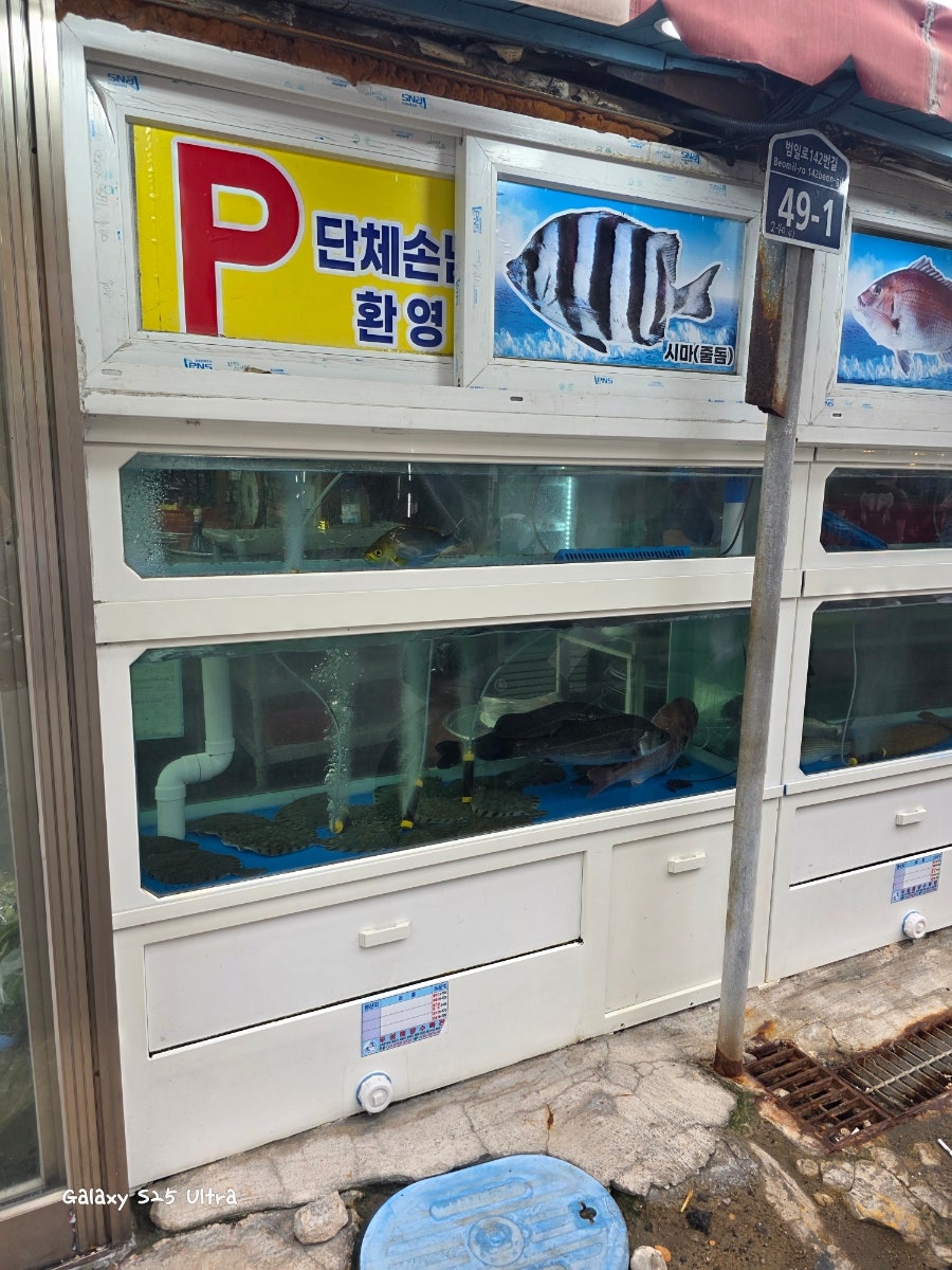 일차횟집 사진 3