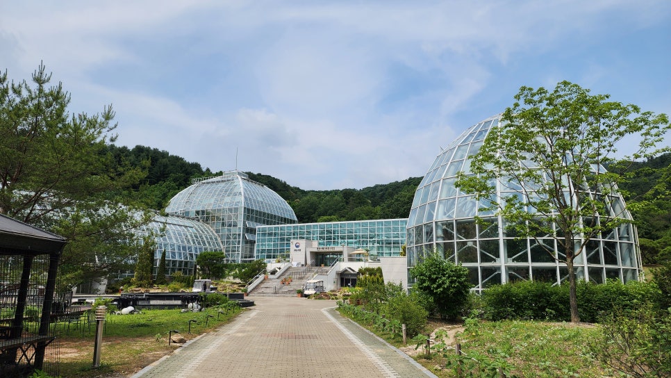 화담 사진 3