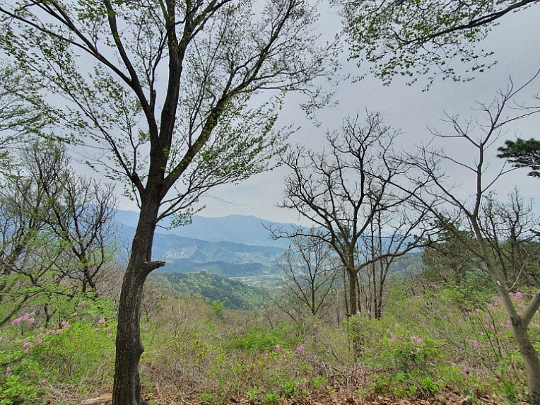 견두산 사진 4