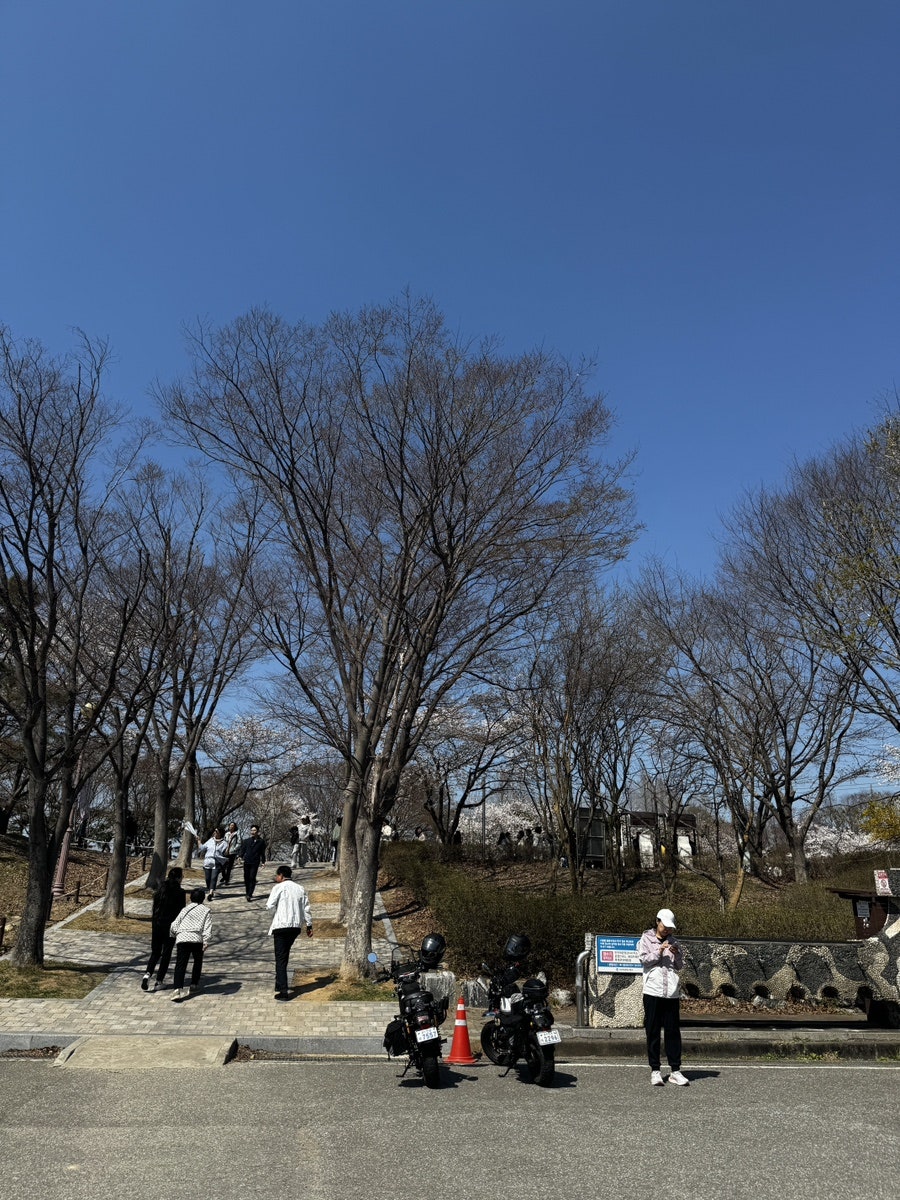 싸리골우렁쌈밥 본점 사진 1
