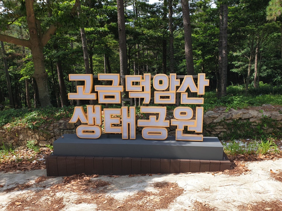 고금도 사진 1