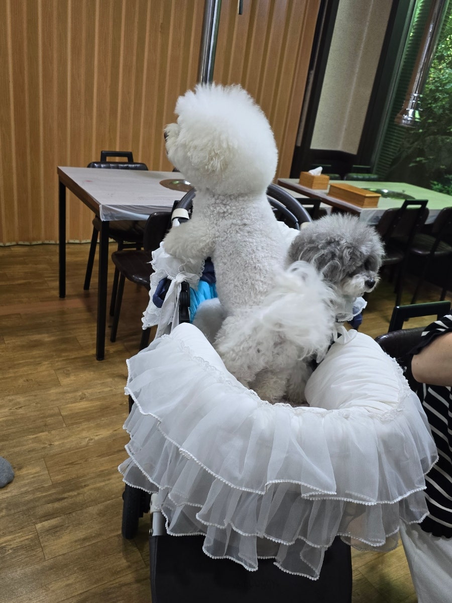 섬강한우촌 사진 6