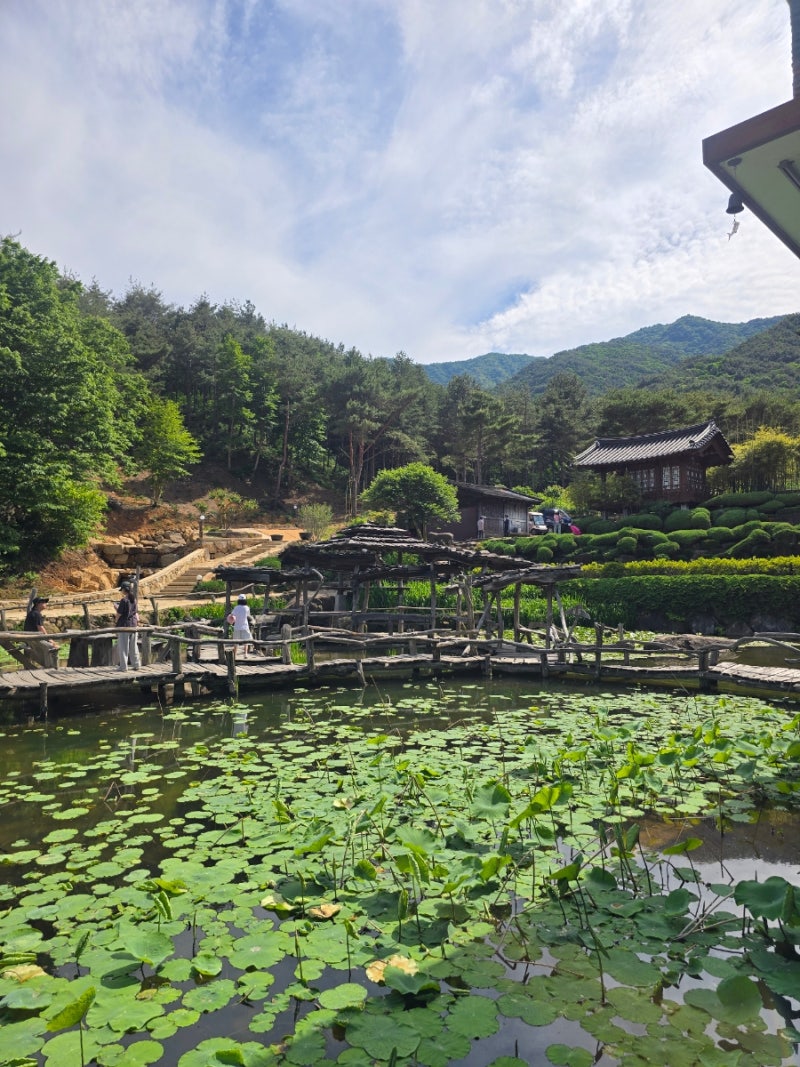 경남 산청 함양 나들이.정원이 예쁜 산청 수선사.수선사 예쁜 연못.카페 수선사.수선사 화장....