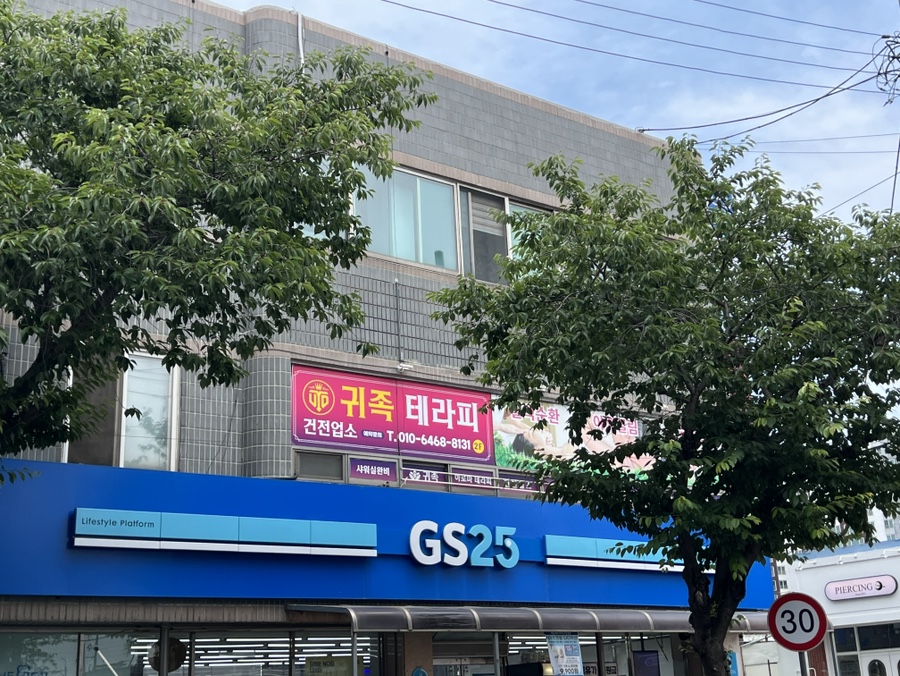 귀족 사진 1