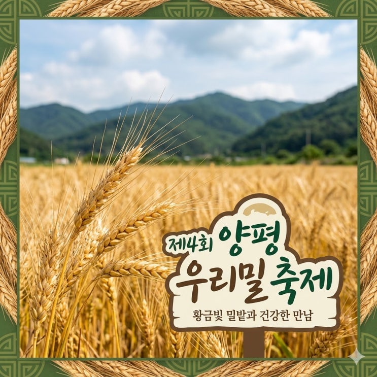  경기도 양평 가볼만한곳 우리밀 축제 상세 가이드와 즐기는 법