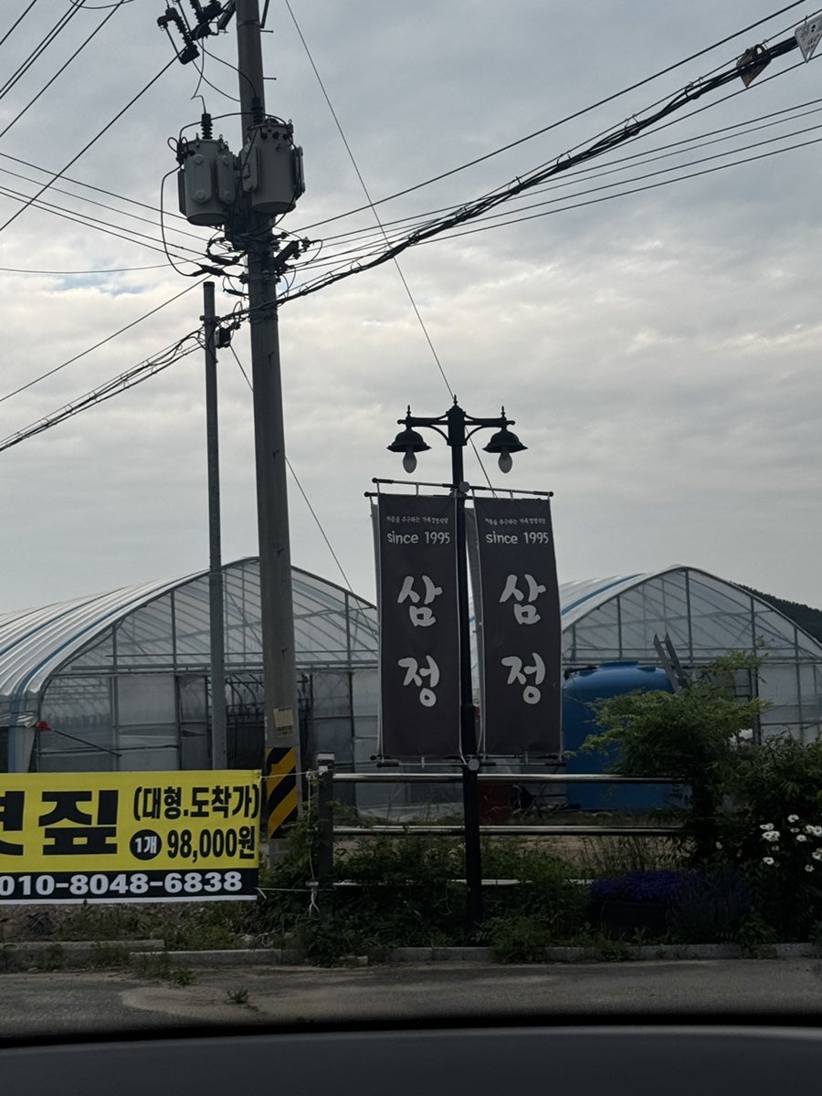 삼정 사진 1