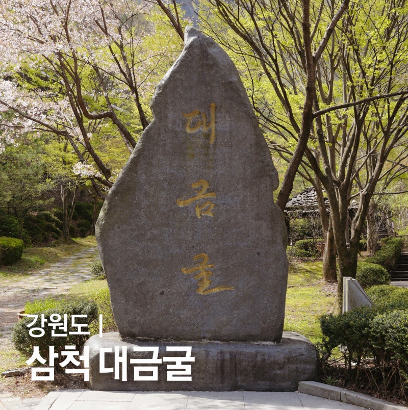 강원도 삼척 가볼만한곳 환선굴 대금굴 차이 사전예약 입장료 비교