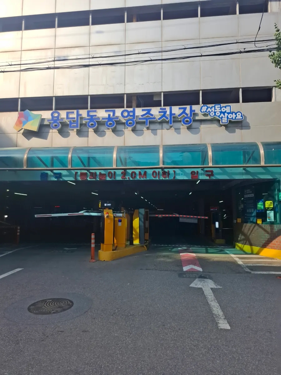 치커리생구이 사진 2