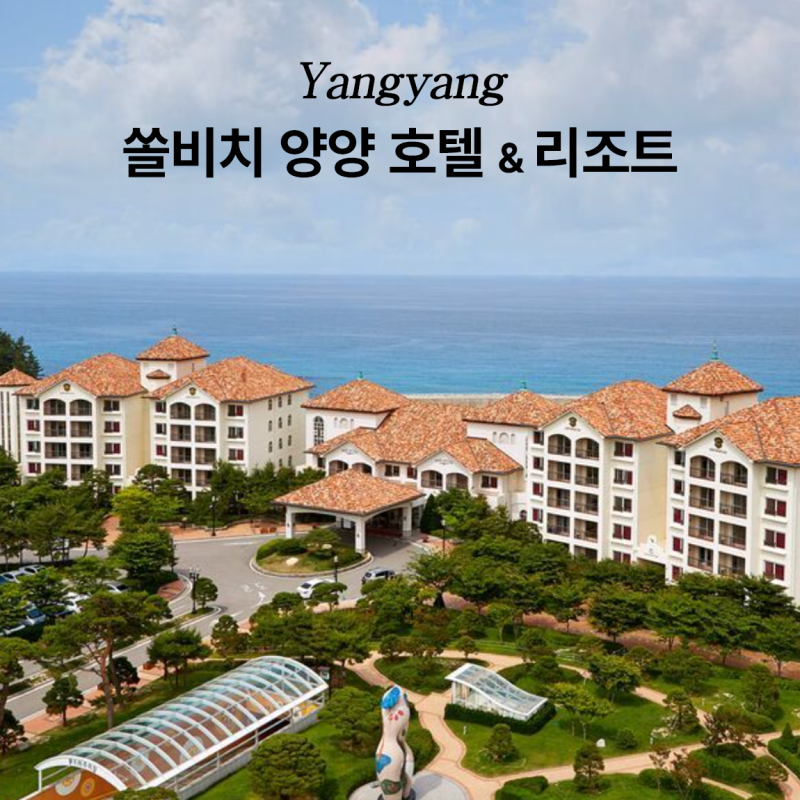 쏠비치 양양 호텔 가격 조식 리조트 할인 후기