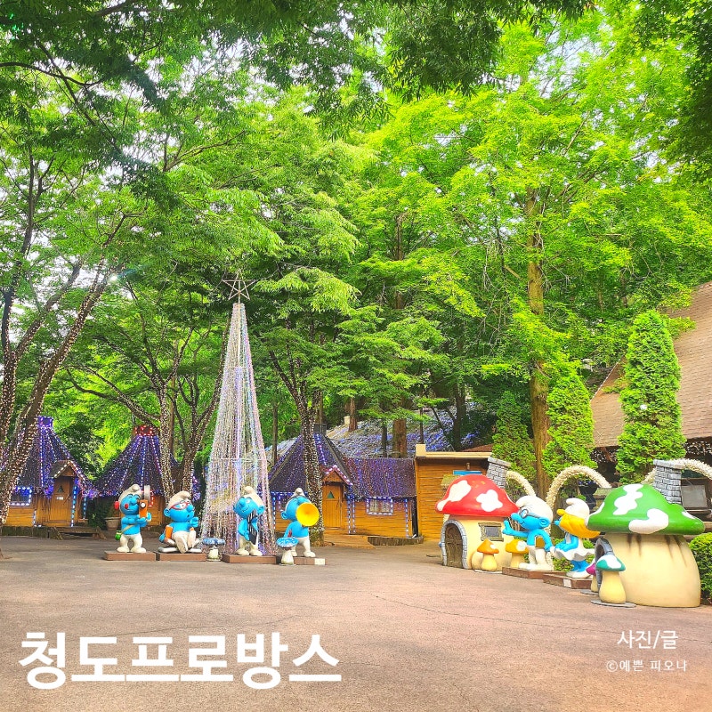 청도 프로방스 끝없는 포토존 빛축제 물놀이