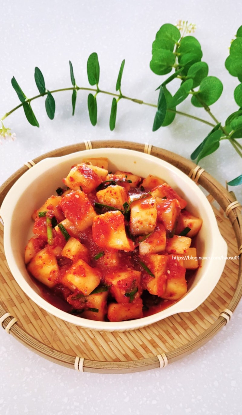 설렁탕집보다 더 맛있는 깍두기 담그기 여름 무우 깍두기 양념 레시피