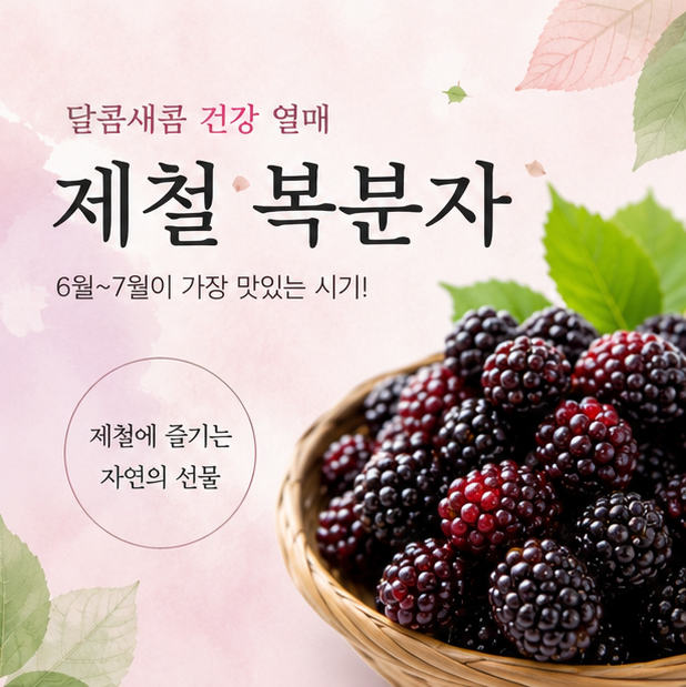 복분자 씻는법 보관법, 6월 제철 생복분자 당뇨 혈당 부작용 총정리