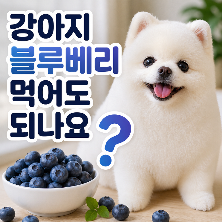 강아지 블루베리 먹어도 되나요? 급여량·주의사항 총정리 (냉동 블루베리도 가능할까?)